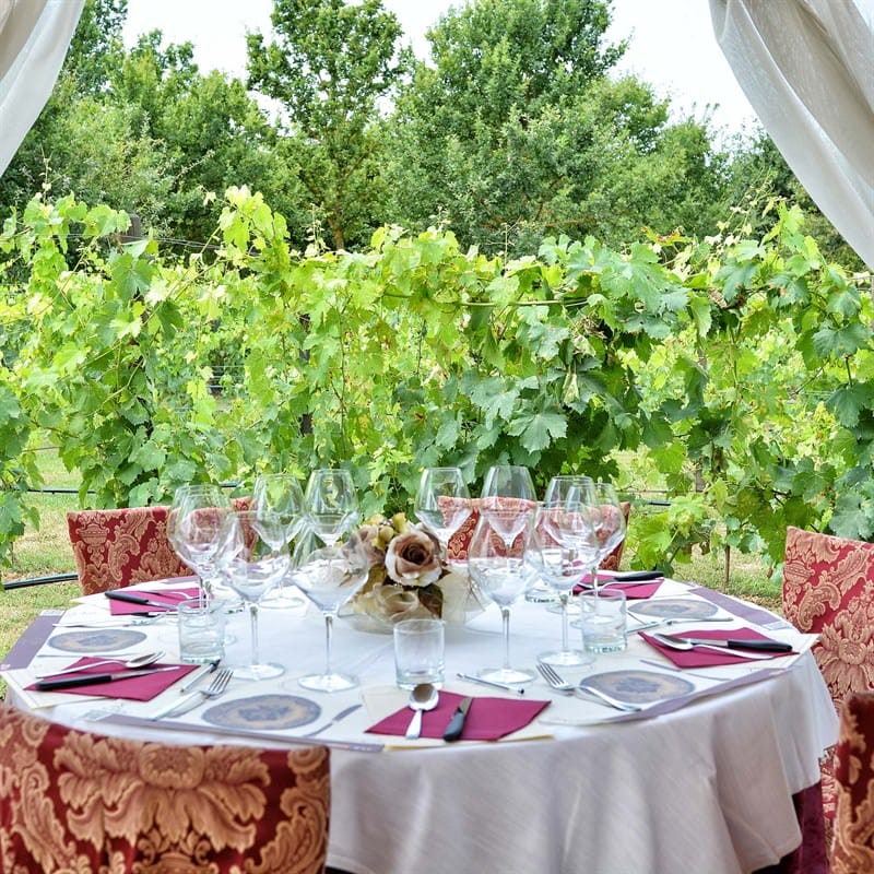 Tenuta Torciano Winery - Dinner in the Vineyard - Gift Voucher