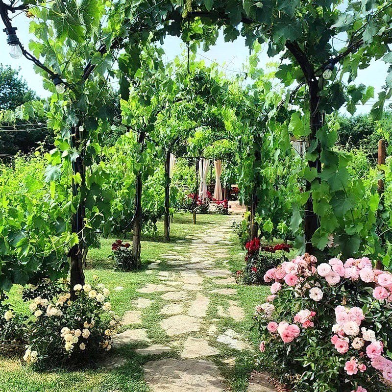 Cena in Tenuta con Degustazione (x2 persone) - Buono Regalo