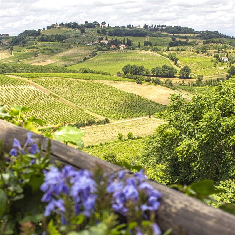 Torciano Hotel - Soggiorno con Degustazione di Vini e Formaggi (x 1 persona) – Buono Regalo