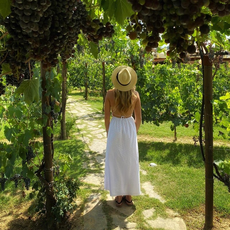 Torciano Hotel - Soggiorno con Degustazione di Vini e Formaggi (x 1 persona) – Buono Regalo