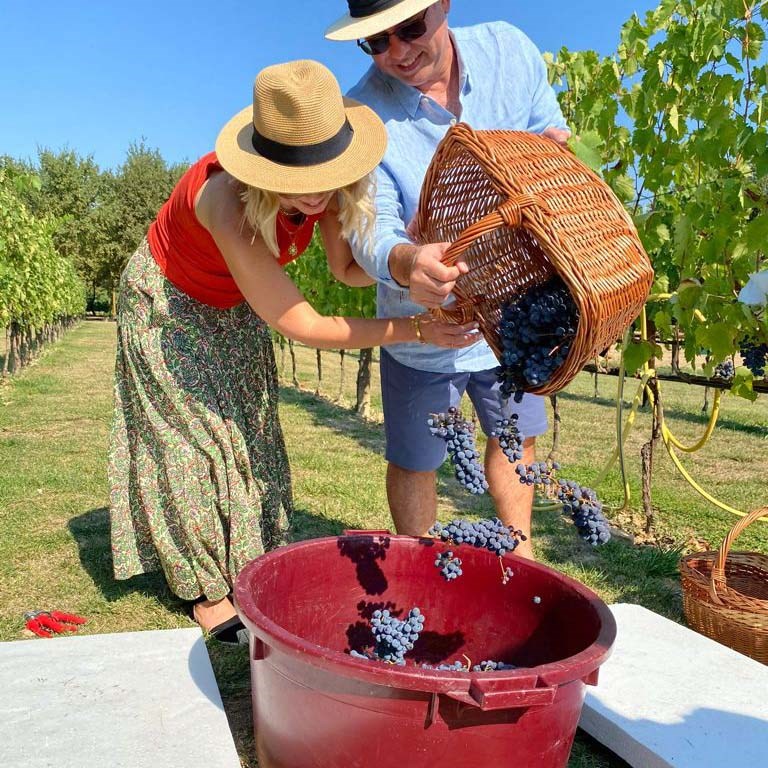 Torciano Hotel & Winery - 5 Days: Harvest Time in Tuscany - Gift Voucher