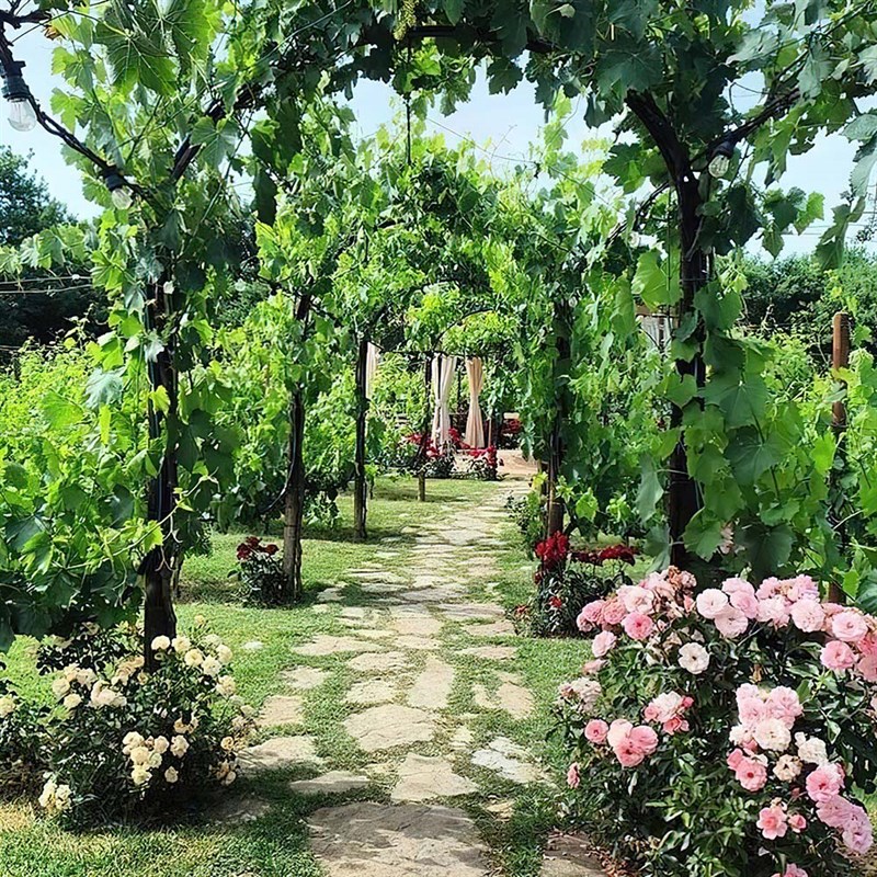 Torciano Hotel – Soggiorno con Volo in Elicottero, Pranzo e Degustazione (x 2 persone) - Buono regalo